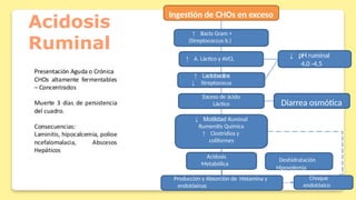 Patologías del sistema digestivo en los animales domésticos | PPTX