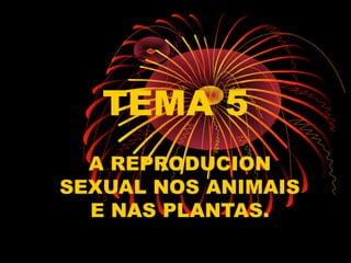 TEMA 5
  A REPRODUCION
SEXUAL NOS ANIMAIS
  E NAS PLANTAS.
 
