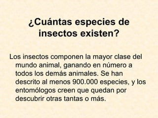 ¿Cuántas especies de
insectos existen?
Los insectos componen la mayor clase del
mundo animal, ganando en número a
todos los demás animales. Se han
descrito al menos 900.000 especies, y los
entomólogos creen que quedan por
descubrir otras tantas o más.
 