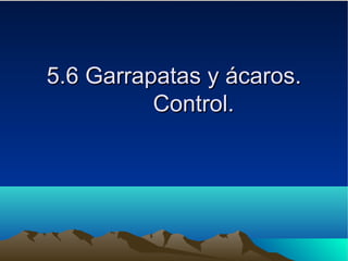 5.6 Garrapatas y ácaros.5.6 Garrapatas y ácaros.
Control.Control.
 