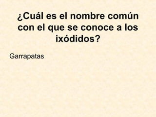 ¿Cuál es el nombre común
con el que se conoce a los
ixódidos?
Garrapatas
 