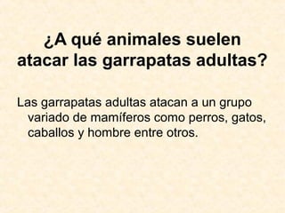 ¿A qué animales suelen
atacar las garrapatas adultas?
Las garrapatas adultas atacan a un grupo
variado de mamíferos como perros, gatos,
caballos y hombre entre otros.
 