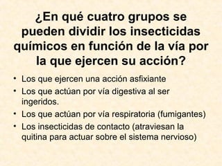 ¿En qué cuatro grupos se
pueden dividir los insecticidas
químicos en función de la vía por
la que ejercen su acción?
• Los que ejercen una acción asfixiante
• Los que actúan por vía digestiva al ser
ingeridos.
• Los que actúan por vía respiratoria (fumigantes)
• Los insecticidas de contacto (atraviesan la
quitina para actuar sobre el sistema nervioso)
 