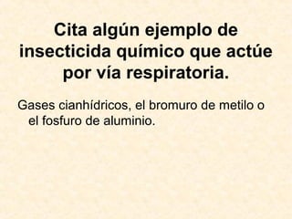 Cita algún ejemplo de
insecticida químico que actúe
por vía respiratoria.
Gases cianhídricos, el bromuro de metilo o
el fosfuro de aluminio.
 