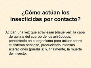 ¿Cómo actúan los
insecticidas por contacto?
Actúan una vez que atraviesan (disuelven) la capa
de quitina del cuerpo de los artrópodos,
penetrando en el organismo para actuar sobre
el sistema nervioso, produciendo intensas
alteraciones (parálisis) y, finalmente, la muerte
del insecto.
 