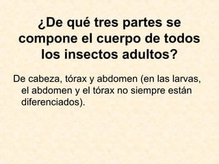 ¿De qué tres partes se
compone el cuerpo de todos
los insectos adultos?
De cabeza, tórax y abdomen (en las larvas,
el abdomen y el tórax no siempre están
diferenciados).
 