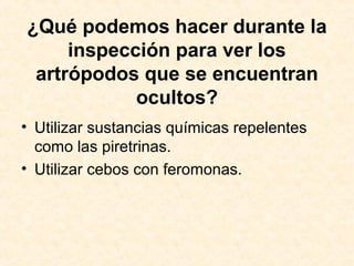 ¿Qué podemos hacer durante la
inspección para ver los
artrópodos que se encuentran
ocultos?
• Utilizar sustancias químicas repelentes
como las piretrinas.
• Utilizar cebos con feromonas.
 