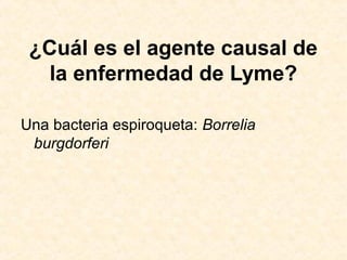 ¿Cuál es el agente causal de
la enfermedad de Lyme?
Una bacteria espiroqueta: Borrelia
burgdorferi
 