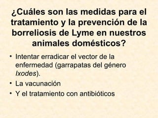 ¿Cuáles son las medidas para el
tratamiento y la prevención de la
borreliosis de Lyme en nuestros
animales domésticos?
• Intentar erradicar el vector de la
enfermedad (garrapatas del género
Ixodes).
• La vacunación
• Y el tratamiento con antibióticos
 