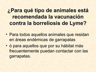 ¿Para qué tipo de animales está
recomendada la vacunación
contra la borreliosis de Lyme?
• Para todos aquellos animales que residan
en áreas endémicas de garrapatas
• ó para aquellos que por su hábitat más
frecuentemente puedan contactar con las
garrapatas.
 