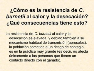 ¿Cómo es la resistencia de C.
burnetii al calor y la desecación?
¿Qué consecuencias tiene esto?
La resistencia de C. burnetii al calor y la
desecación es elavada, y debido también a su
mecanismo habitual de transmisión (aerosoles),
la población sometida a un riesgo de contagio
es en la práctica muy grande (es decir, no afecta
únicamente a las personas que tienen un
contacto directo con el ganado).
 
