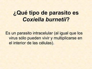 ¿Qué tipo de parasito es
Coxiella burnetii?
Es un parasito intracelular (al igual que los
virus sólo pueden vivir y multiplicarse en
el interior de las células).
 