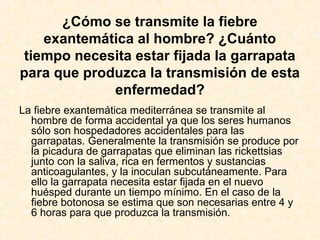 ¿Cómo se transmite la fiebre
exantemática al hombre? ¿Cuánto
tiempo necesita estar fijada la garrapata
para que produzca la transmisión de esta
enfermedad?
La fiebre exantemática mediterránea se transmite al
hombre de forma accidental ya que los seres humanos
sólo son hospedadores accidentales para las
garrapatas. Generalmente la transmisión se produce por
la picadura de garrapatas que eliminan las rickettsias
junto con la saliva, rica en fermentos y sustancias
anticoagulantes, y la inoculan subcutáneamente. Para
ello la garrapata necesita estar fijada en el nuevo
huésped durante un tiempo mínimo. En el caso de la
fiebre botonosa se estima que son necesarias entre 4 y
6 horas para que produzca la transmisión.
 