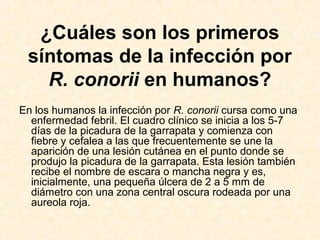 ¿Cuáles son los primeros
síntomas de la infección por
R. conorii en humanos?
En los humanos la infección por R. conorii cursa como una
enfermedad febril. El cuadro clínico se inicia a los 5-7
días de la picadura de la garrapata y comienza con
fiebre y cefalea a las que frecuentemente se une la
aparición de una lesión cutánea en el punto donde se
produjo la picadura de la garrapata. Esta lesión también
recibe el nombre de escara o mancha negra y es,
inicialmente, una pequeña úlcera de 2 a 5 mm de
diámetro con una zona central oscura rodeada por una
aureola roja.
 