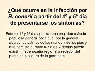 ¿Qué ocurre en la infección por
R. conorii a partir del 4º y 5º día
de presentarse los síntomas?
Entre el 4º y 5º día aparece una erupción máculo-
papulosa generalizada que, por lo general,
abarca las palmas de las manos y de los pies y
que persiste durante 6-7 días. Además puede
existir linfadenopatía regional alrededor del
punto de picadura de la garrapata.
 