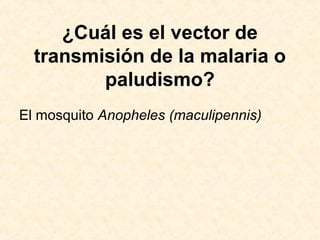 ¿Cuál es el vector de
transmisión de la malaria o
paludismo?
El mosquito Anopheles (maculipennis)
 