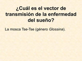 ¿Cuál es el vector de
transmisión de la enfermedad
del sueño?
La mosca Tse-Tse (género Glossina).
 