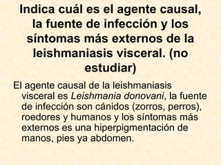 Indica cuál es el agente causal,
la fuente de infección y los
síntomas más externos de la
leishmaniasis visceral. (no
estudiar)
El agente causal de la leishmaniasis
visceral es Leishmania donovani, la fuente
de infección son cánidos (zorros, perros),
roedores y humanos y los síntomas más
externos es una hiperpigmentación de
manos, pies ya abdomen.
 