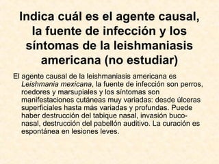 Indica cuál es el agente causal,
la fuente de infección y los
síntomas de la leishmaniasis
americana (no estudiar)
El agente causal de la leishmaniasis americana es
Leishmania mexicana, la fuente de infección son perros,
roedores y marsupiales y los síntomas son
manifestaciones cutáneas muy variadas: desde úlceras
superficiales hasta más variadas y profundas. Puede
haber destrucción del tabique nasal, invasión buco-
nasal, destrucción del pabellón auditivo. La curación es
espontánea en lesiones leves.
 