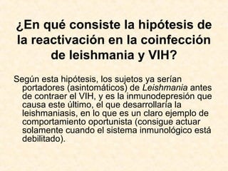¿En qué consiste la hipótesis de
la reactivación en la coinfección
de leishmania y VIH?
Según esta hipótesis, los sujetos ya serían
portadores (asintomáticos) de Leishmania antes
de contraer el VIH, y es la inmunodepresión que
causa este último, el que desarrollaría la
leishmaniasis, en lo que es un claro ejemplo de
comportamiento oportunista (consigue actuar
solamente cuando el sistema inmunológico está
debilitado).
 