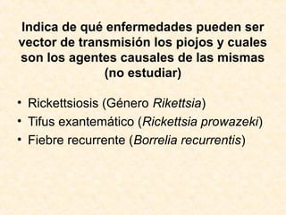 Indica de qué enfermedades pueden ser
vector de transmisión los piojos y cuales
son los agentes causales de las mismas
(no estudiar)
• Rickettsiosis (Género Rikettsia)
• Tifus exantemático (Rickettsia prowazeki)
• Fiebre recurrente (Borrelia recurrentis)
 