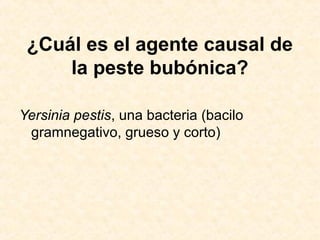 ¿Cuál es el agente causal de
la peste bubónica?
Yersinia pestis, una bacteria (bacilo
gramnegativo, grueso y corto)
 