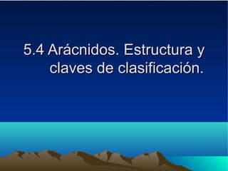 5.4 Arácnidos. Estructura y5.4 Arácnidos. Estructura y
claves de clasificación.claves de clasificación.
 