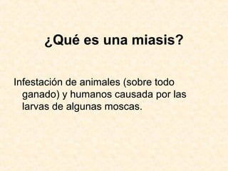¿Qué es una miasis?
Infestación de animales (sobre todo
ganado) y humanos causada por las
larvas de algunas moscas.
 