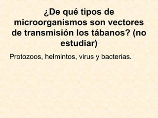 ¿De qué tipos de
microorganismos son vectores
de transmisión los tábanos? (no
estudiar)
Protozoos, helmintos, virus y bacterias.
 