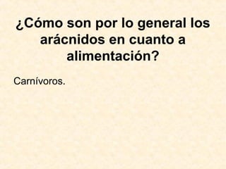 ¿Cómo son por lo general los
arácnidos en cuanto a
alimentación?
Carnívoros.
 