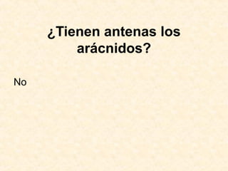 ¿Tienen antenas los
arácnidos?
No
 