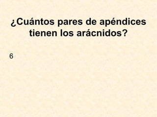 ¿Cuántos pares de apéndices
tienen los arácnidos?
6
 