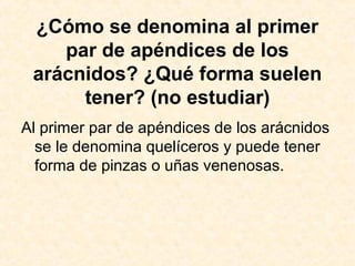 ¿Cómo se denomina al primer
par de apéndices de los
arácnidos? ¿Qué forma suelen
tener? (no estudiar)
Al primer par de apéndices de los arácnidos
se le denomina quelíceros y puede tener
forma de pinzas o uñas venenosas.
 