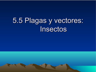 5.5 Plagas y vectores:5.5 Plagas y vectores:
InsectosInsectos
 