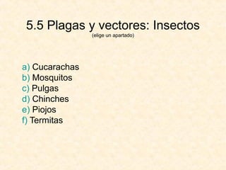 5.5 Plagas y vectores: Insectos
(elige un apartado)
a) Cucarachas
b) Mosquitos
c) Pulgas
d) Chinches
e) Piojos
f) Termitas
 
