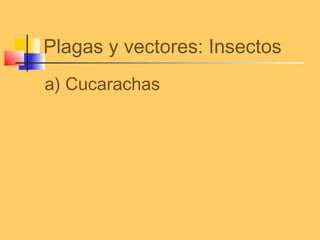 Plagas y vectores: Insectos
a) Cucarachas
 