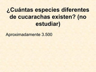 ¿Cuántas especies diferentes
de cucarachas existen? (no
estudiar)
Aproximadamente 3.500
 