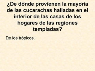 ¿De dónde provienen la mayoría
de las cucarachas halladas en el
interior de las casas de los
hogares de las regiones
templadas?
De los trópicos.
 