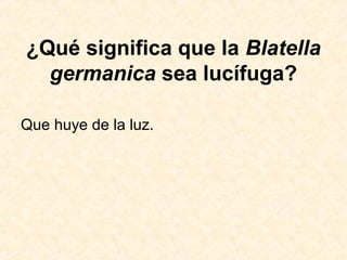 ¿Qué significa que la Blatella
germanica sea lucífuga?
Que huye de la luz.
 
