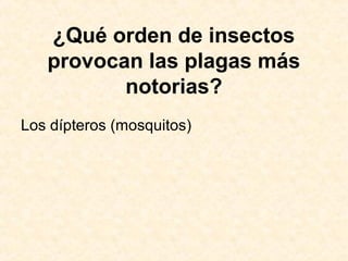 ¿Qué orden de insectos
provocan las plagas más
notorias?
Los dípteros (mosquitos)
 