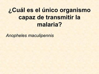 ¿Cuál es el único organismo
capaz de transmitir la
malaria?
Anopheles maculipennis
 