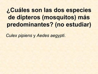 ¿Cuáles son las dos especies
de dípteros (mosquitos) más
predominantes? (no estudiar)
Culex pipiens y Aedes aegypti.
 