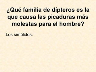¿Qué familia de dípteros es la
que causa las picaduras más
molestas para el hombre?
Los simúlidos.
 