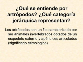 ¿Qué se entiende por
artrópodos? ¿Qué categoría
jerárquica representan?
Los artrópodos son un filo caracterizado por
ser animales invertebrados dotados de un
esqueleto externo y apéndices articulados
(significado etimológico).
 