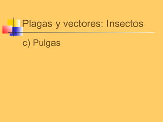 Plagas y vectores: Insectos
c) Pulgas
 