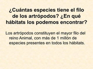 ¿Cuántas especies tiene el filo
de los artrópodos? ¿En qué
hábitats los podemos encontrar?
Los artrópodos constituyen el mayor filo del
reino Animal, con más de 1 millón de
especies presentes en todos los hábitats.
 