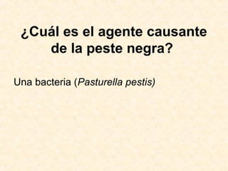 ¿Cuál es el agente causante
de la peste negra?
Una bacteria (Pasturella pestis)
 