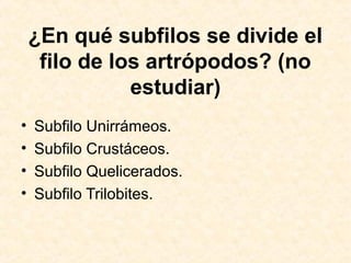 ¿En qué subfilos se divide el
filo de los artrópodos? (no
estudiar)
• Subfilo Unirrámeos.
• Subfilo Crustáceos.
• Subfilo Quelicerados.
• Subfilo Trilobites.
 