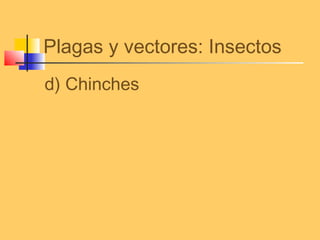 Plagas y vectores: Insectos
d) Chinches
 