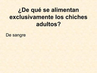 ¿De qué se alimentan
exclusivamente los chiches
adultos?
De sangre
 